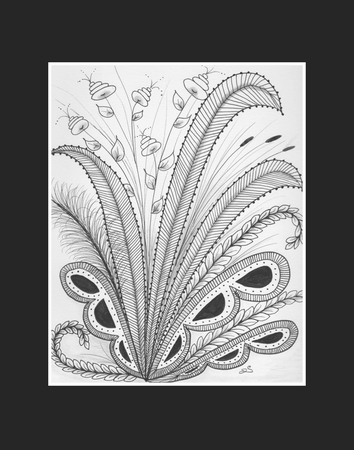 Ferns