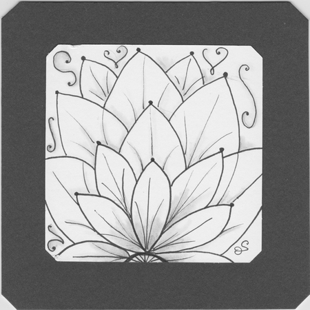Lotus