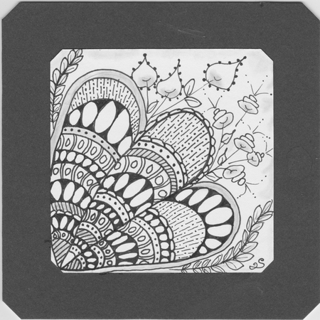 Meditation 6.1.18
