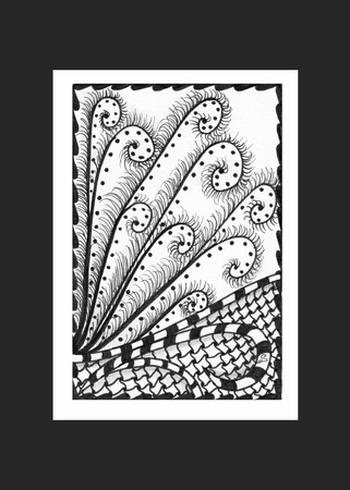 Plumed