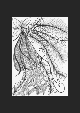Plumes & Blooms