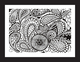 Posh Paisley